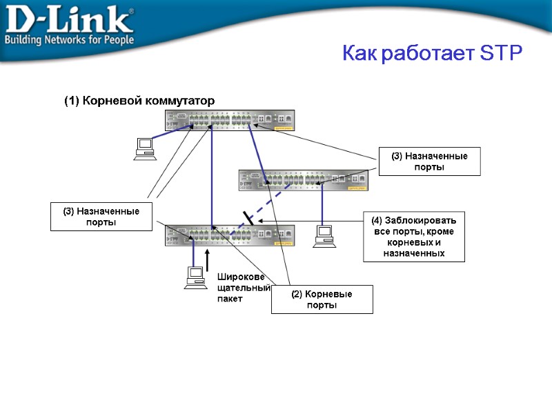 Широковещательный пакет (2) Корневые порты (3) Назначенные порты (3) Назначенные порты (1) Корневой коммутатор